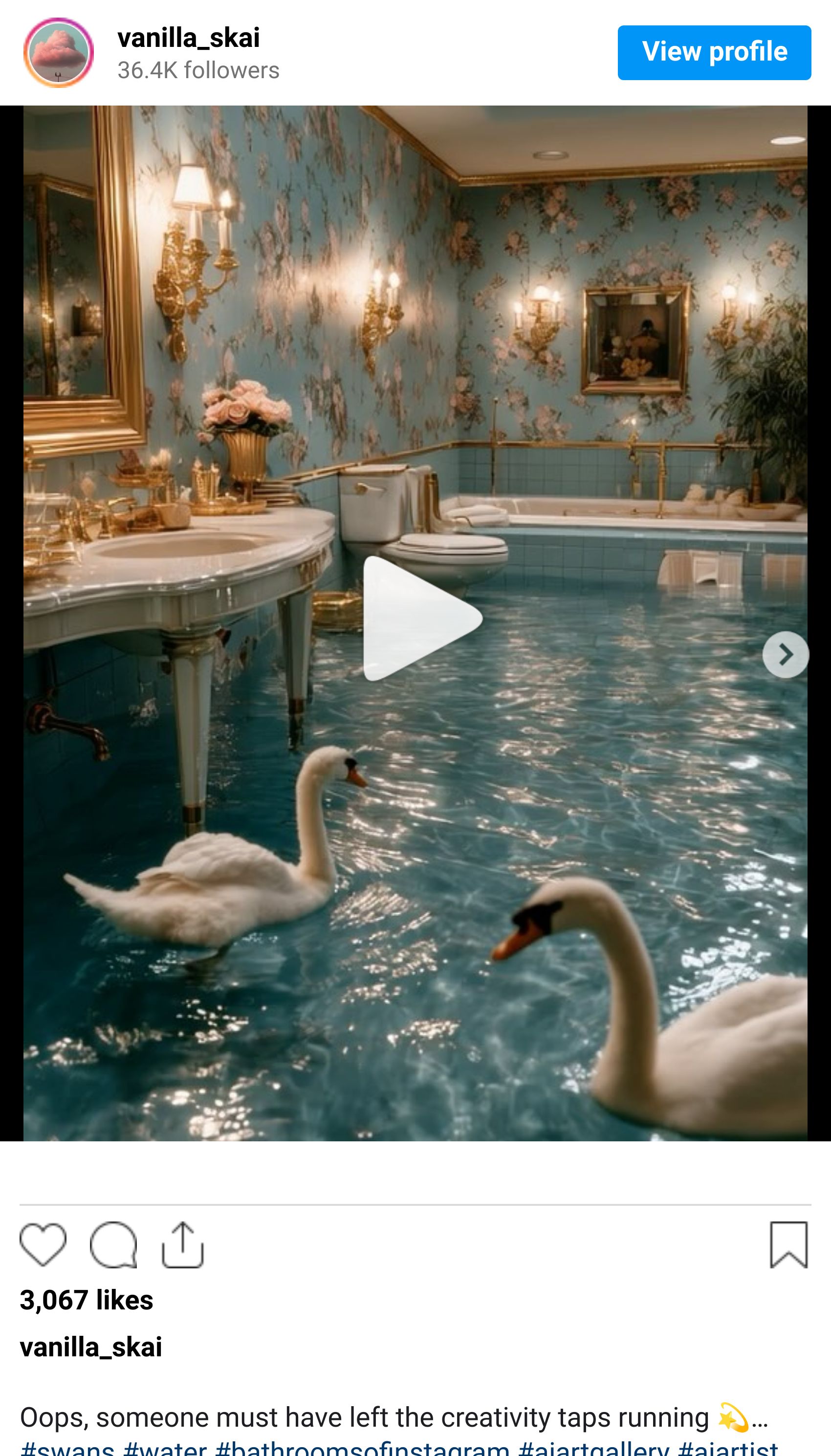 Instagram reel screenshot