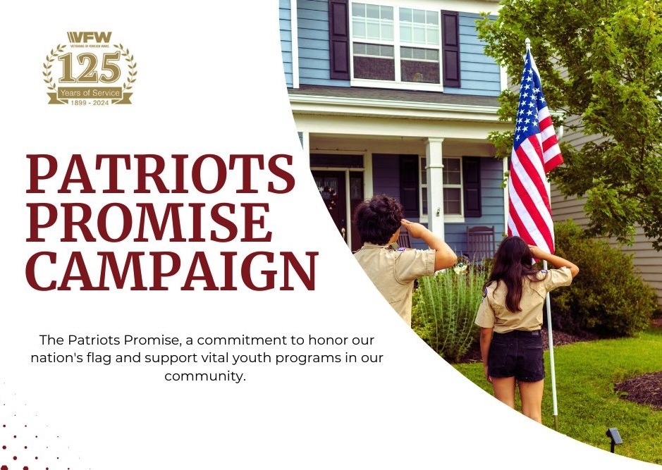 Local Scouts salute an American flag installed through the Patriots Promise program