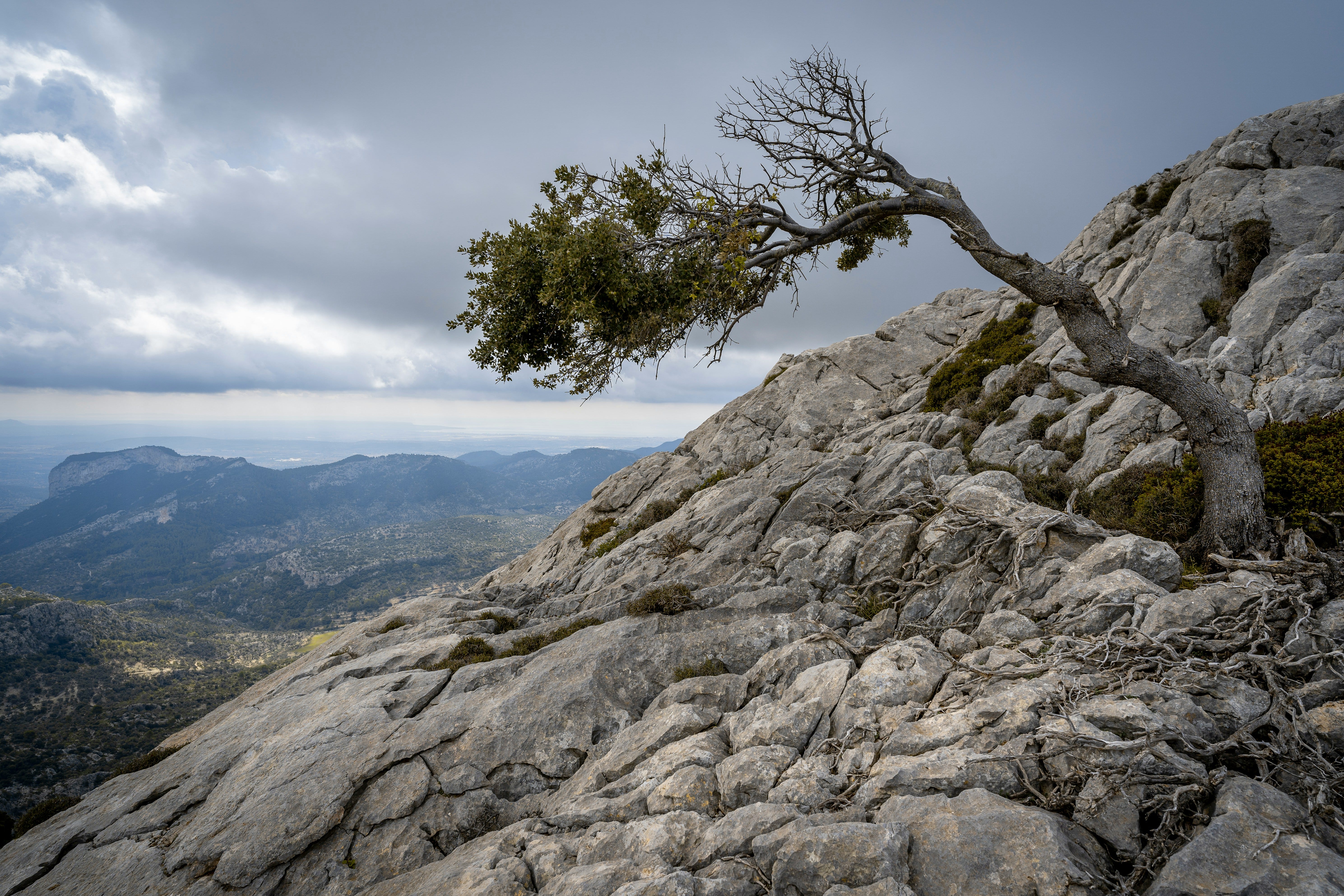 Strategic Resilience 