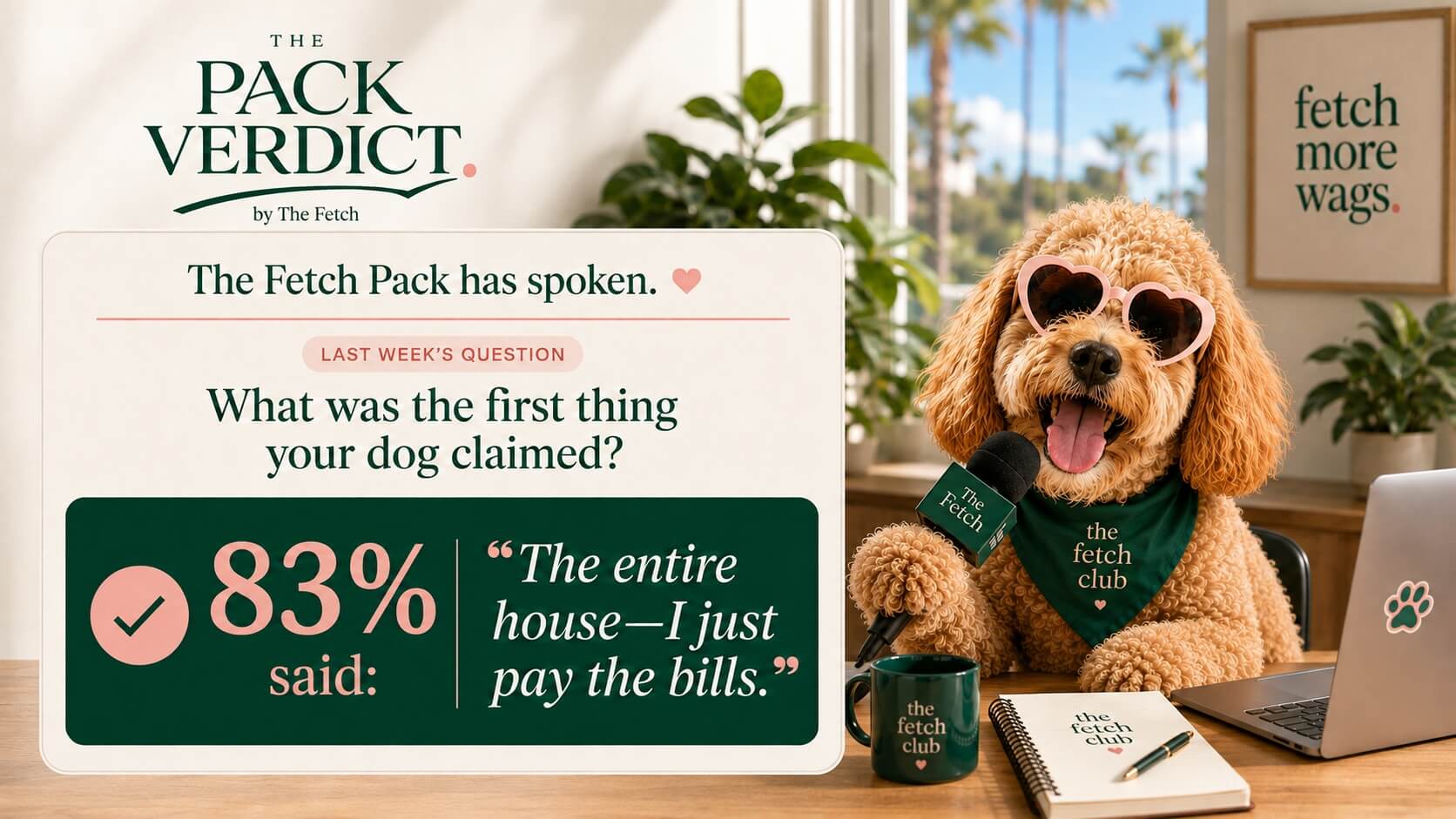 The Fetch Pack poll results