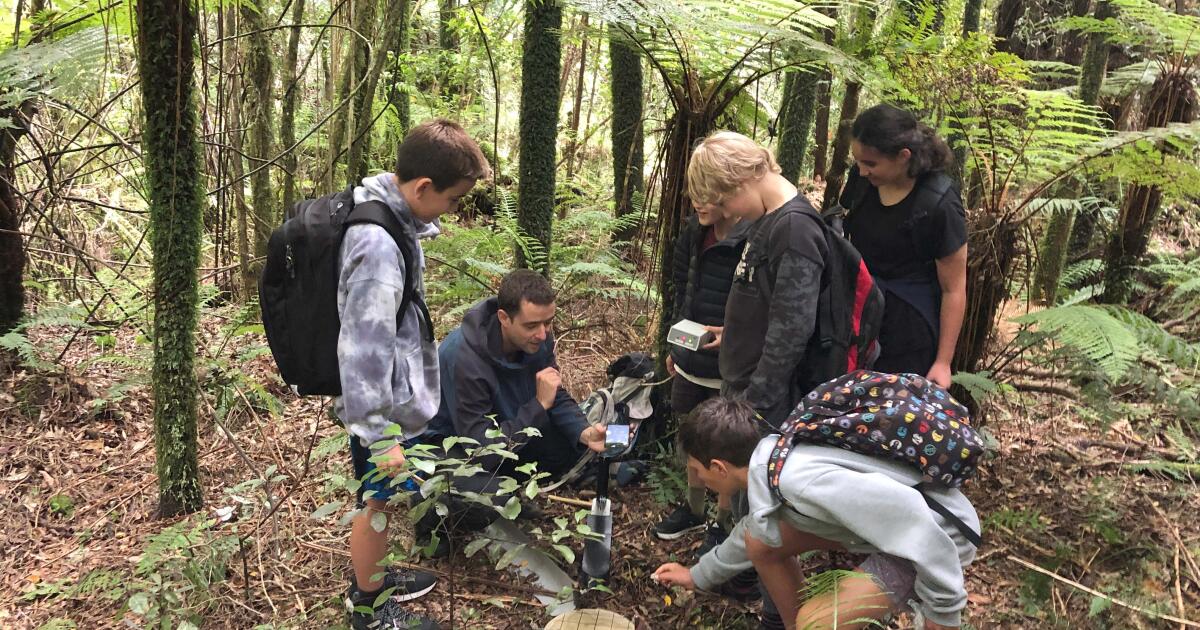 Wildlife.ai conservation monitoring team in a forest