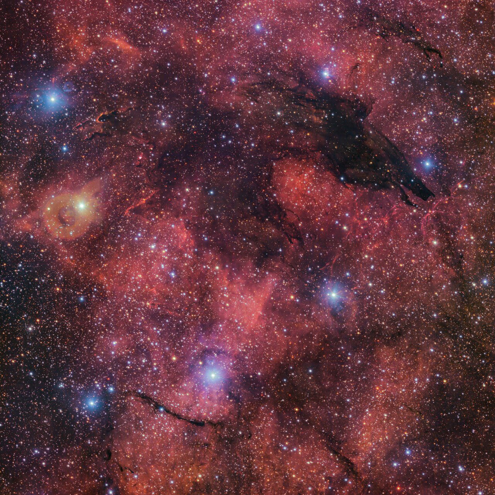 Awooooo Boo, and awooooo: The Dark Wolf Nebula for Halloween