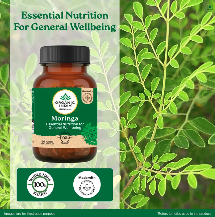 Haloven Chlorophyll Gummies — What's inside each gummy