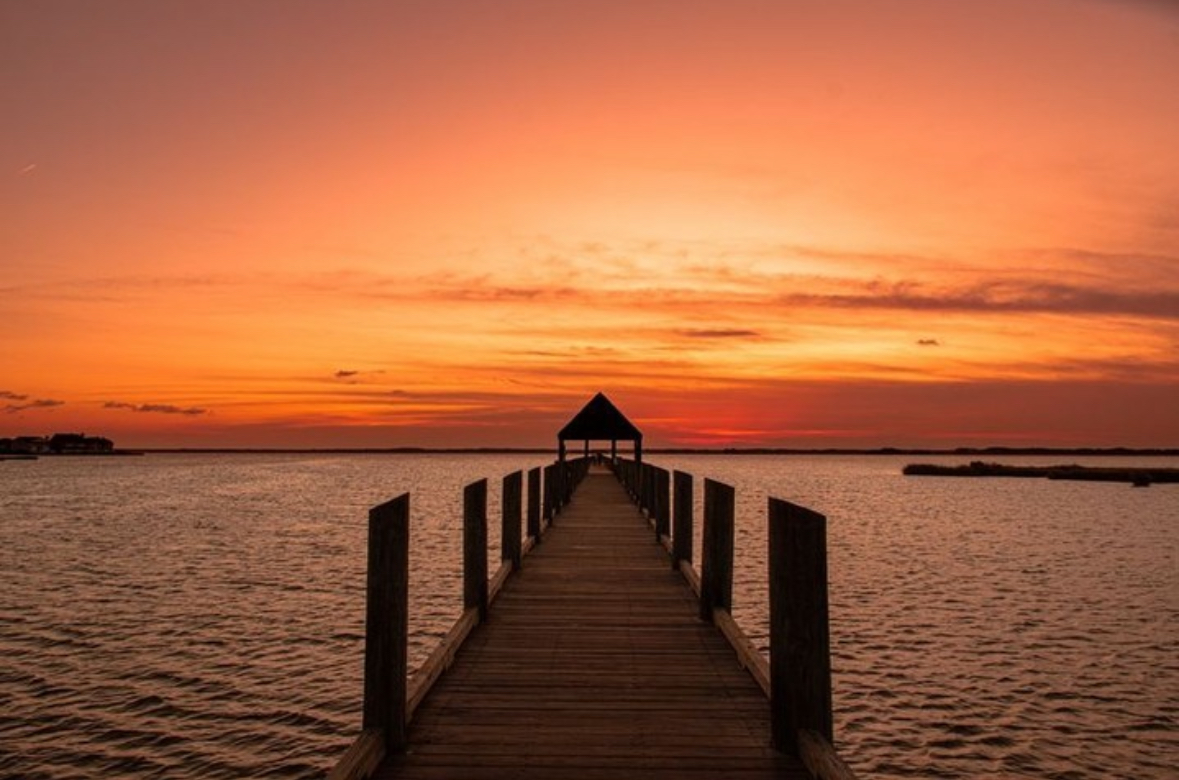 Where to Be in OCMD ~ November 3 - November 9, 2024