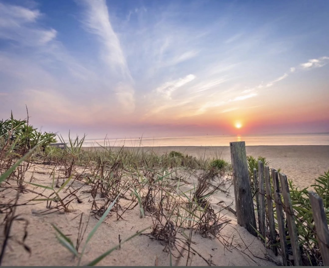 Where to Be in OCMD ~ February 8 - February 14 , 2026    