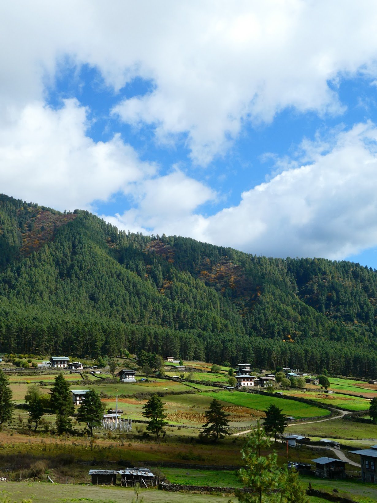 Green fields and wooded hills in Bhutan’s Phobjikha Valley