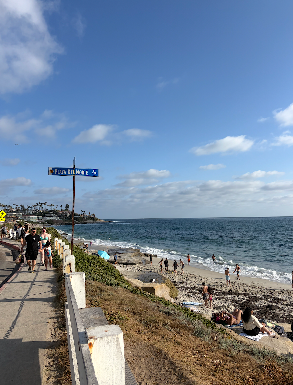 Best hidden beaches in San Diego