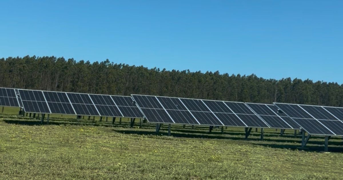 Image showcasing Stock Quotes, Business News and Data from Stock Markets | MSN Money