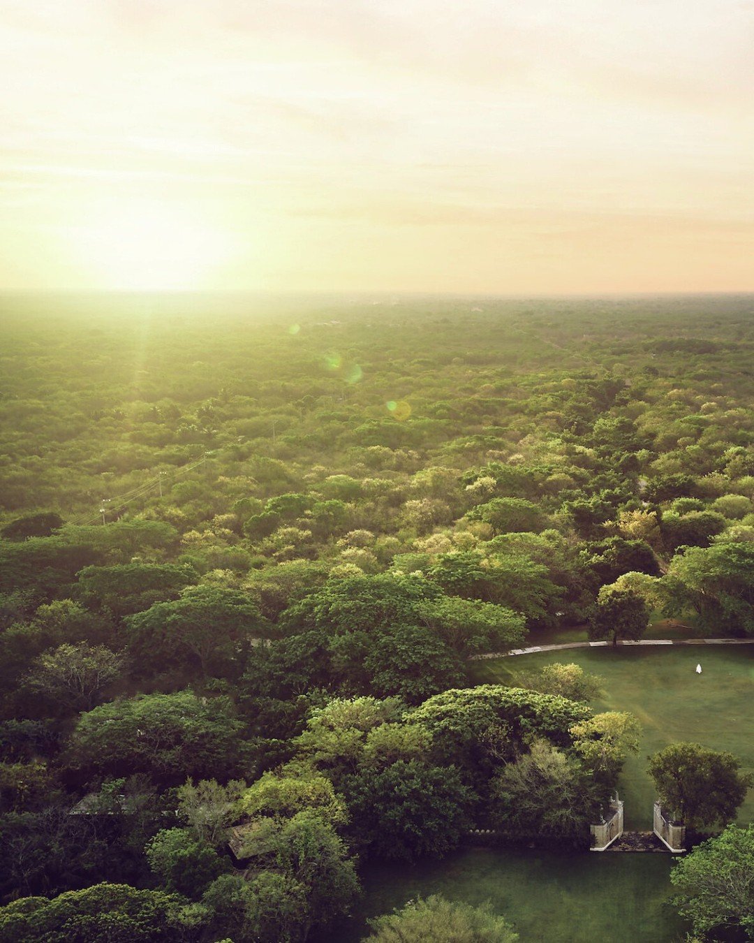 Aerial view across the forested Yucatán landscape at sunset
