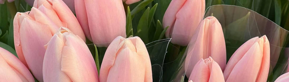 This Week’s Topic: Anxiety & The Heart Chakra + Learn The 4 Steps To Start Healing