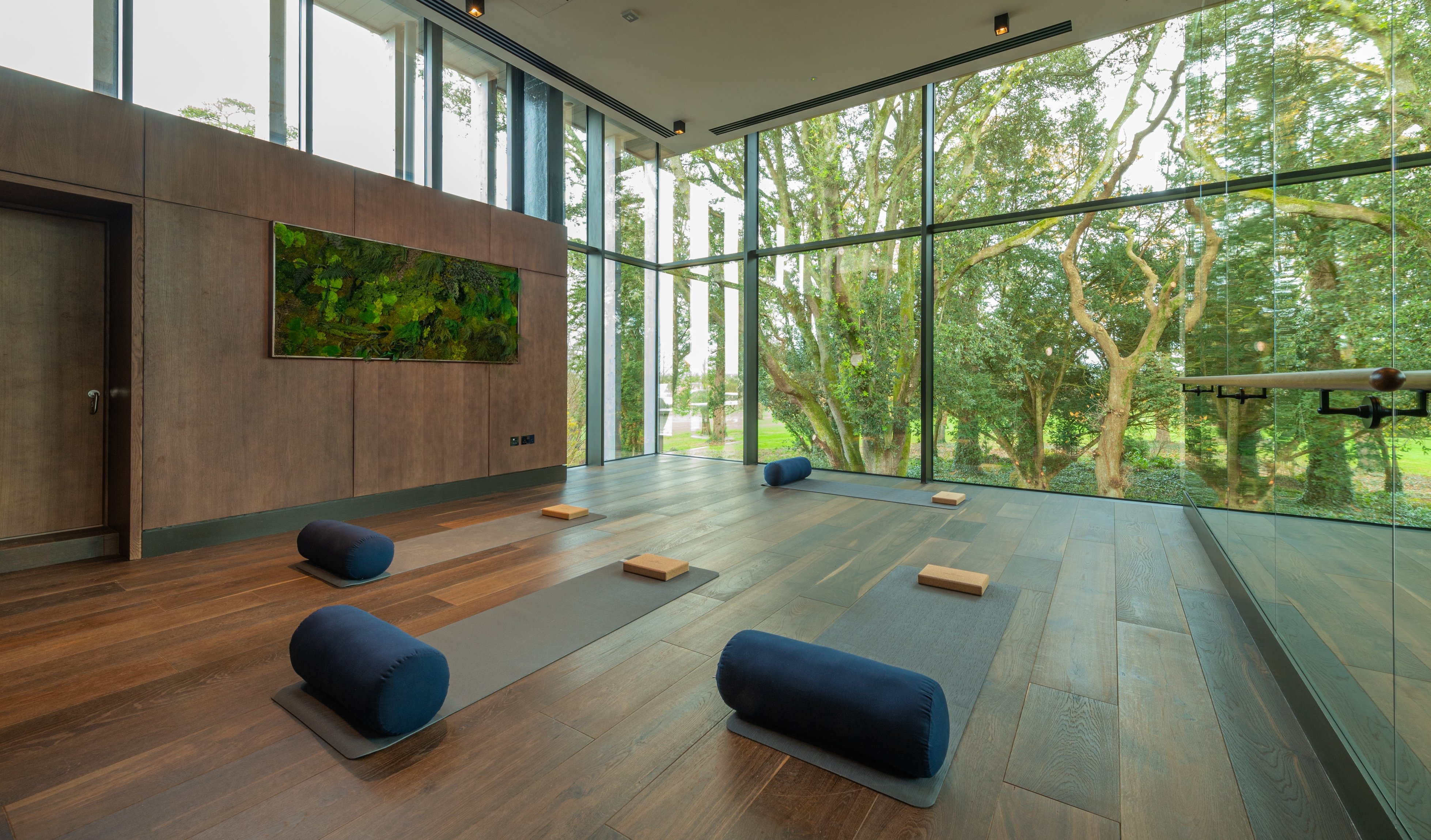 Sunlit yoga studio overlooking woodland at Adare Manor