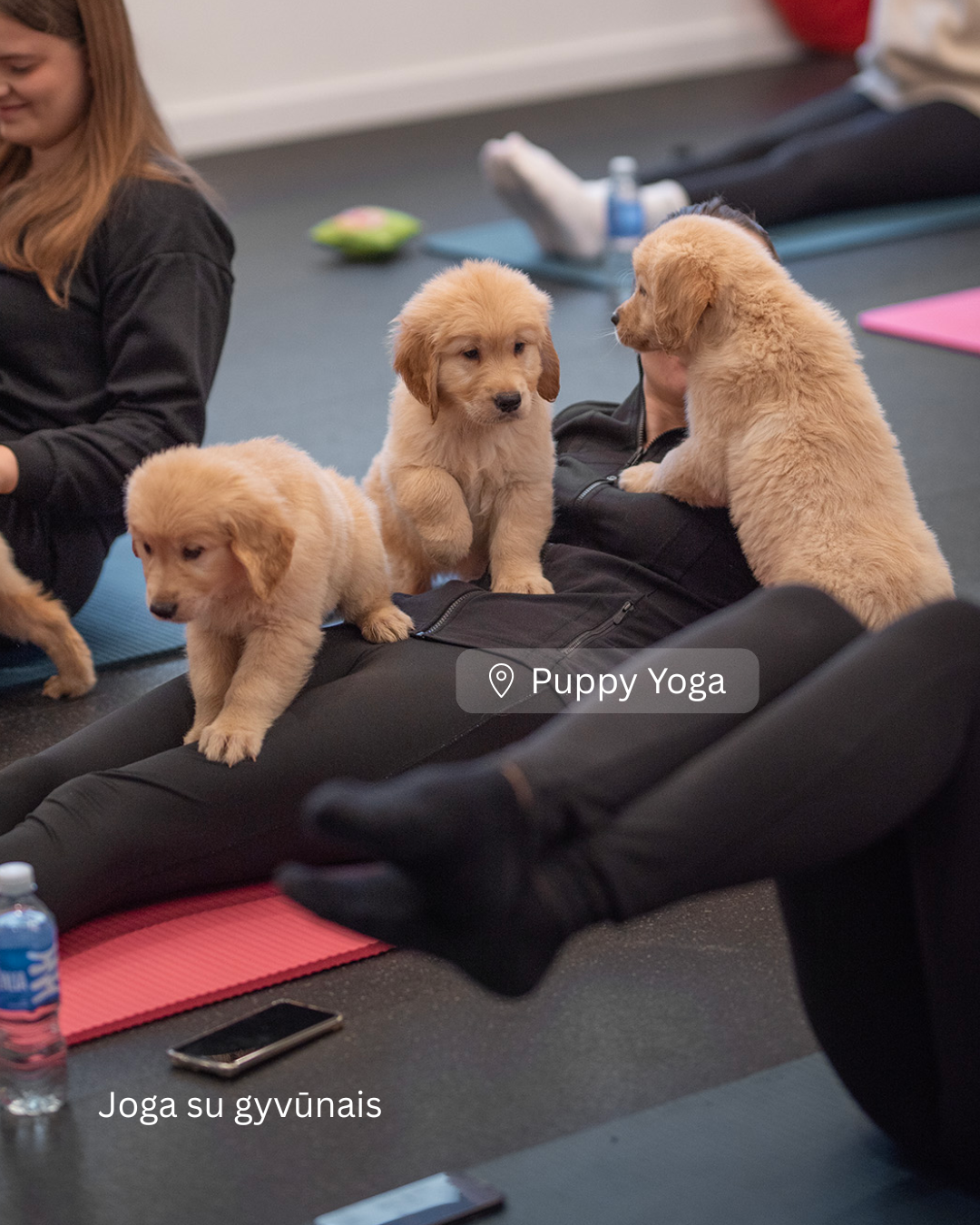 Puppy Yoga Vilniuje
