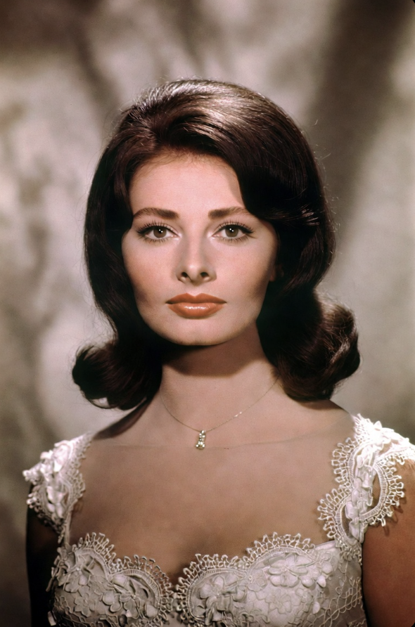 Sophia Loren in a classic 1960s studio portrait
