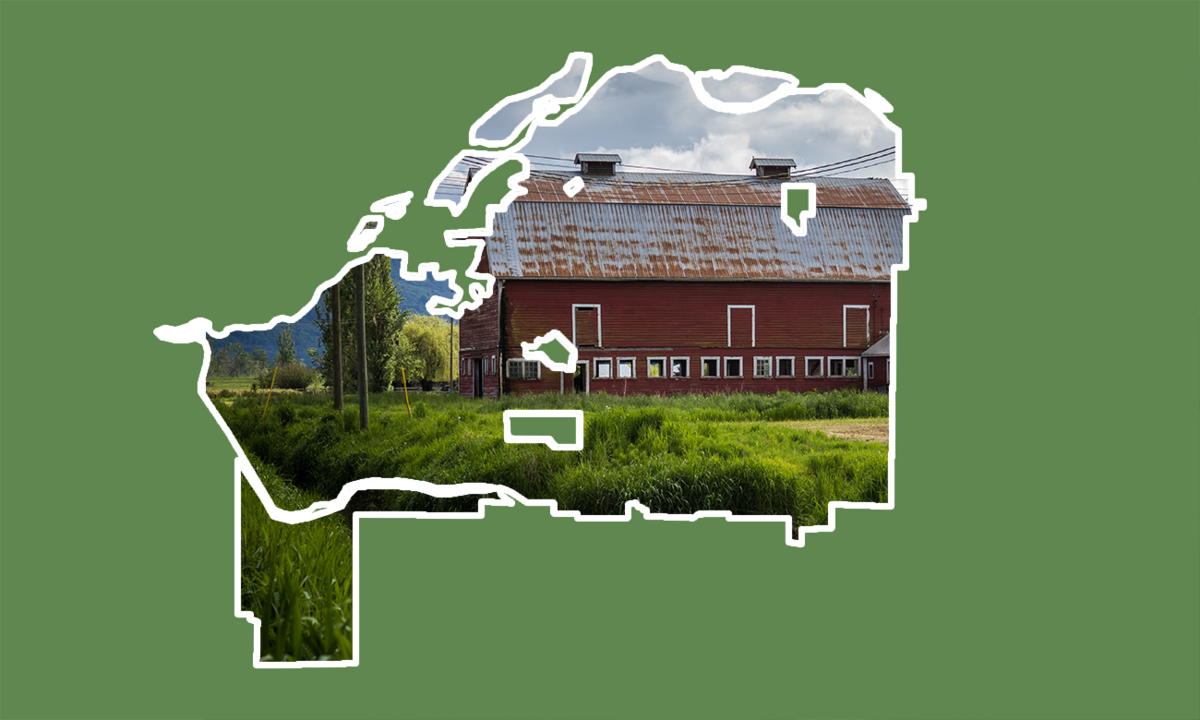 2022 Election Hub Chilliwack