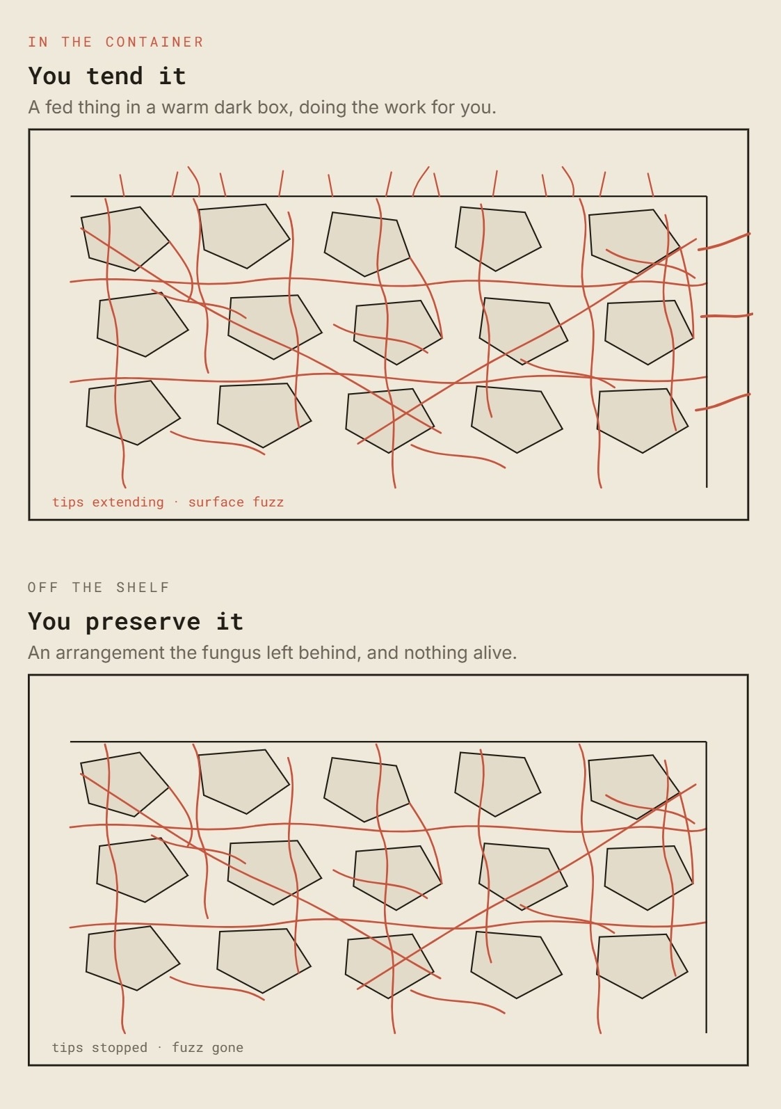 Two panels: the same net in the container and in the finished block.