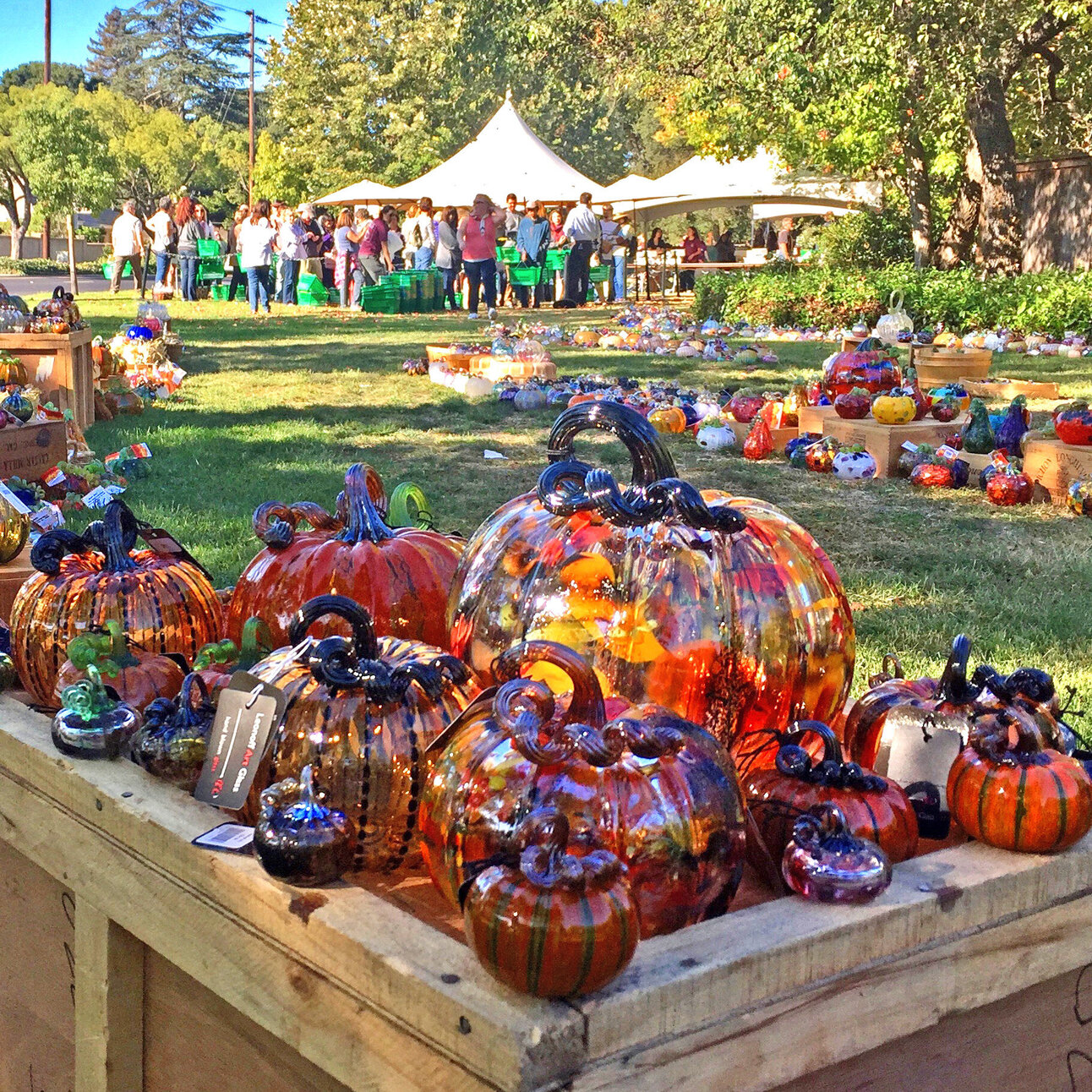 🙌 Things to do around SJ this weekend (9/279/29)