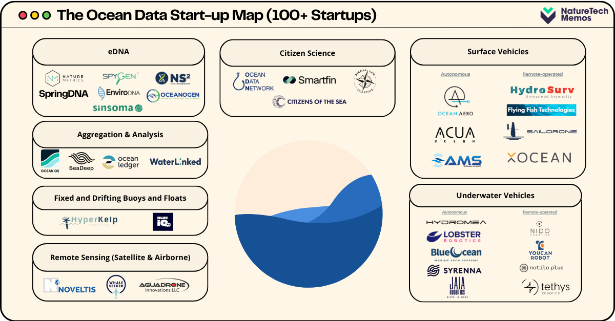 Top 10 Ocean Data Companies Revolutionising Marine Intelligence in 2025