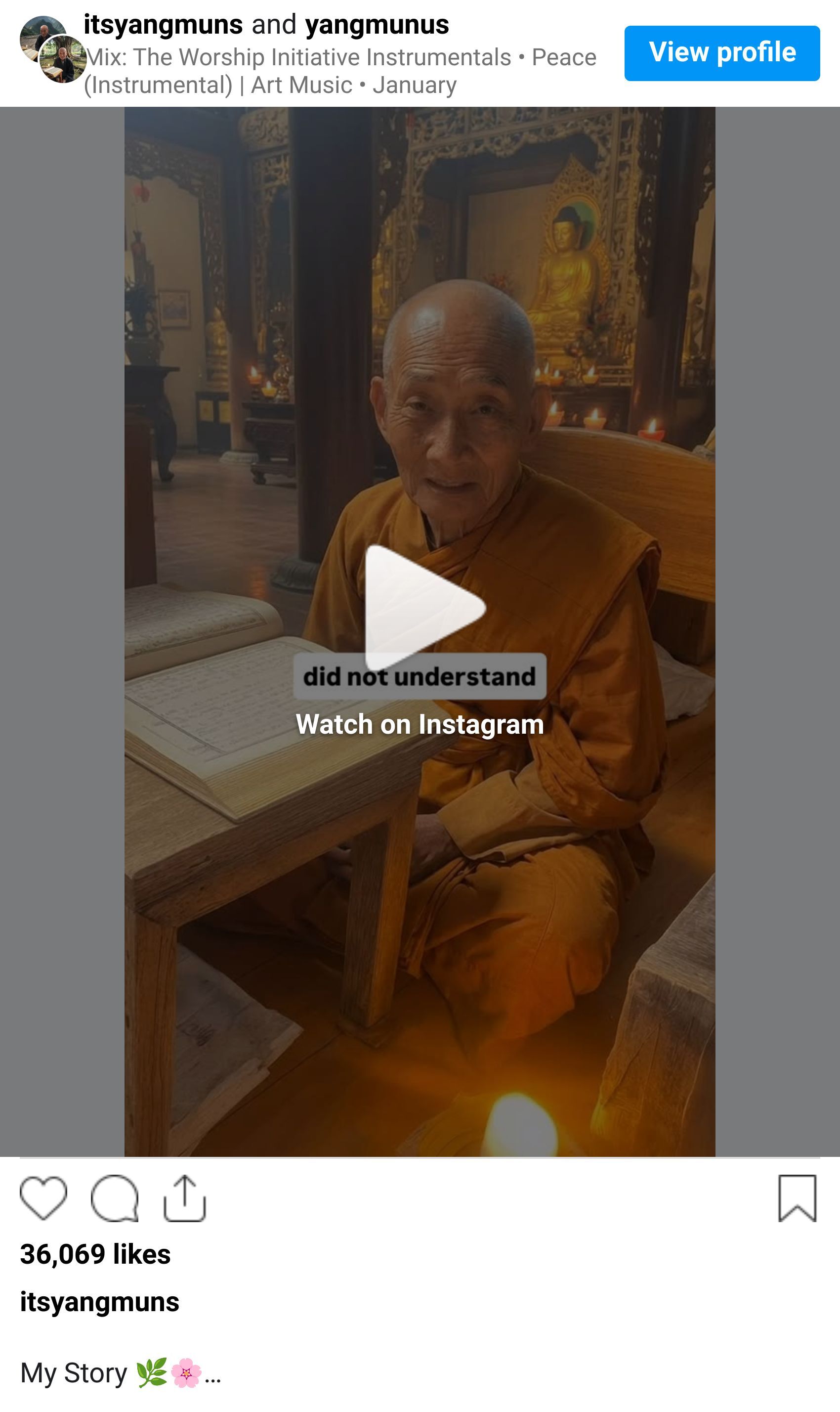 Instagram reel screenshot