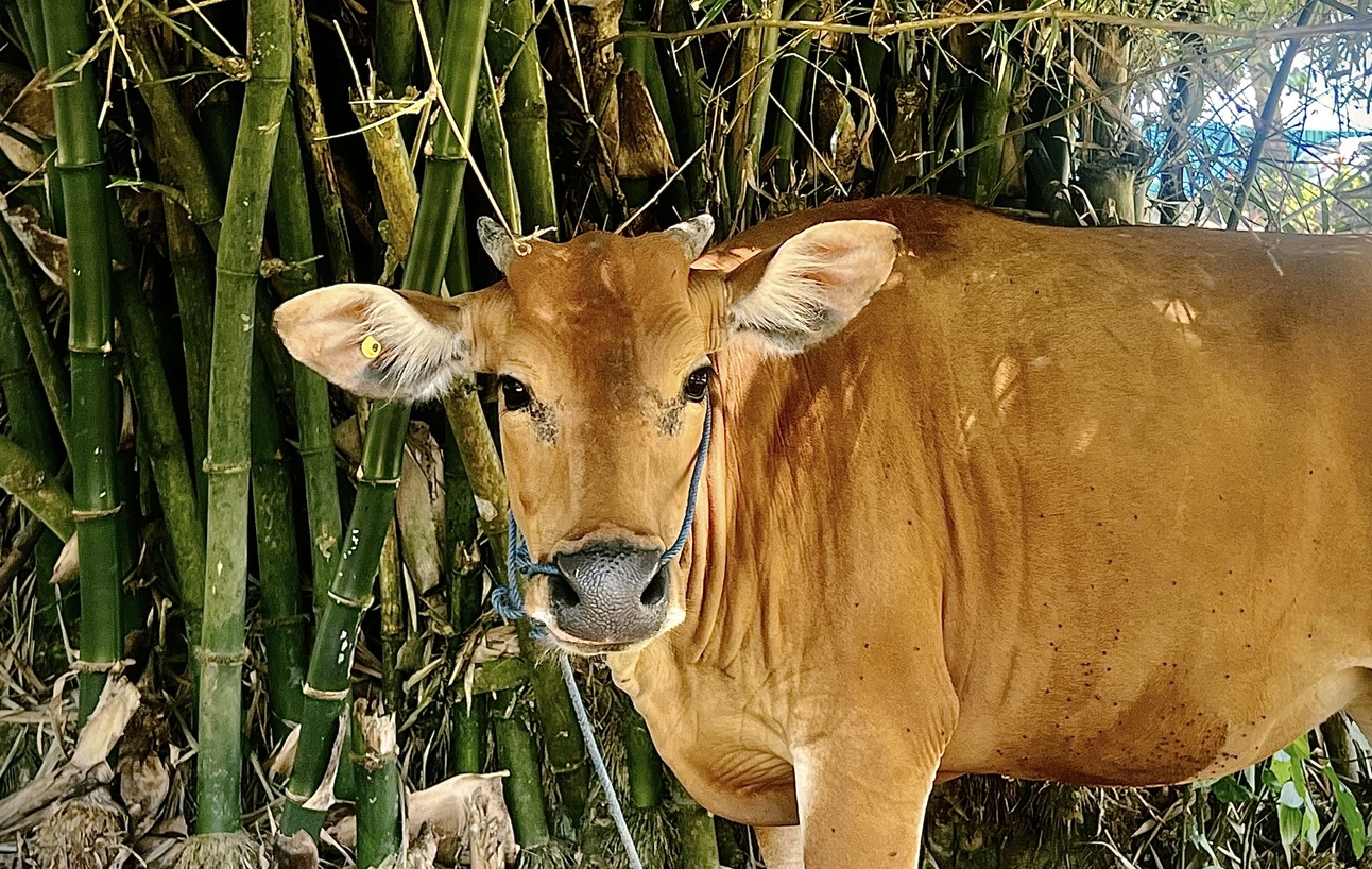 🥙 [#20] Plant-based Food: Pro-environment Pro-tein