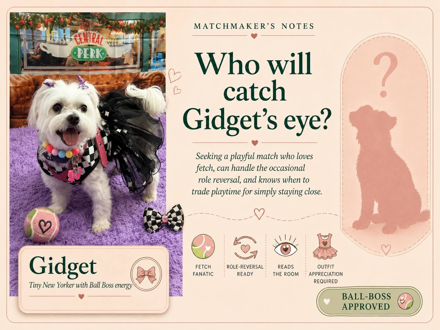 Matchmaker’s Notes graphic for Gidget asking who will catch Gidget’s eye