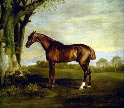 A chestnut racehorse standing beneath a tree at the edge of a wood, painted by George Stubbs