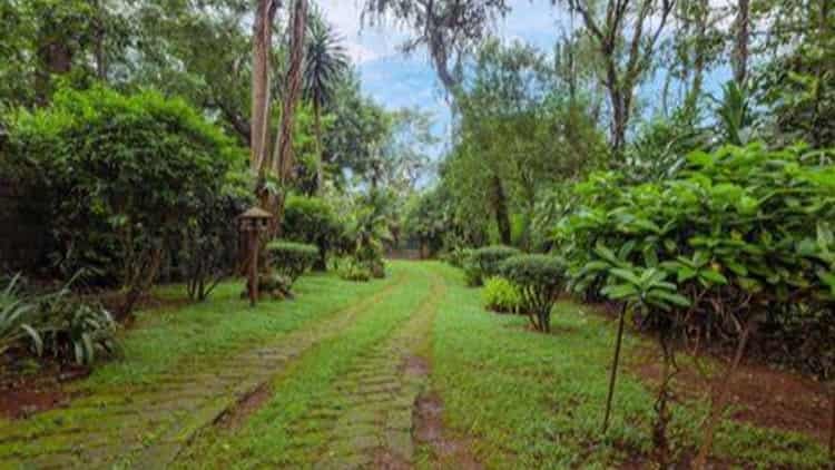 Nairobi Metropolis' Land Bubble Has Paid Off