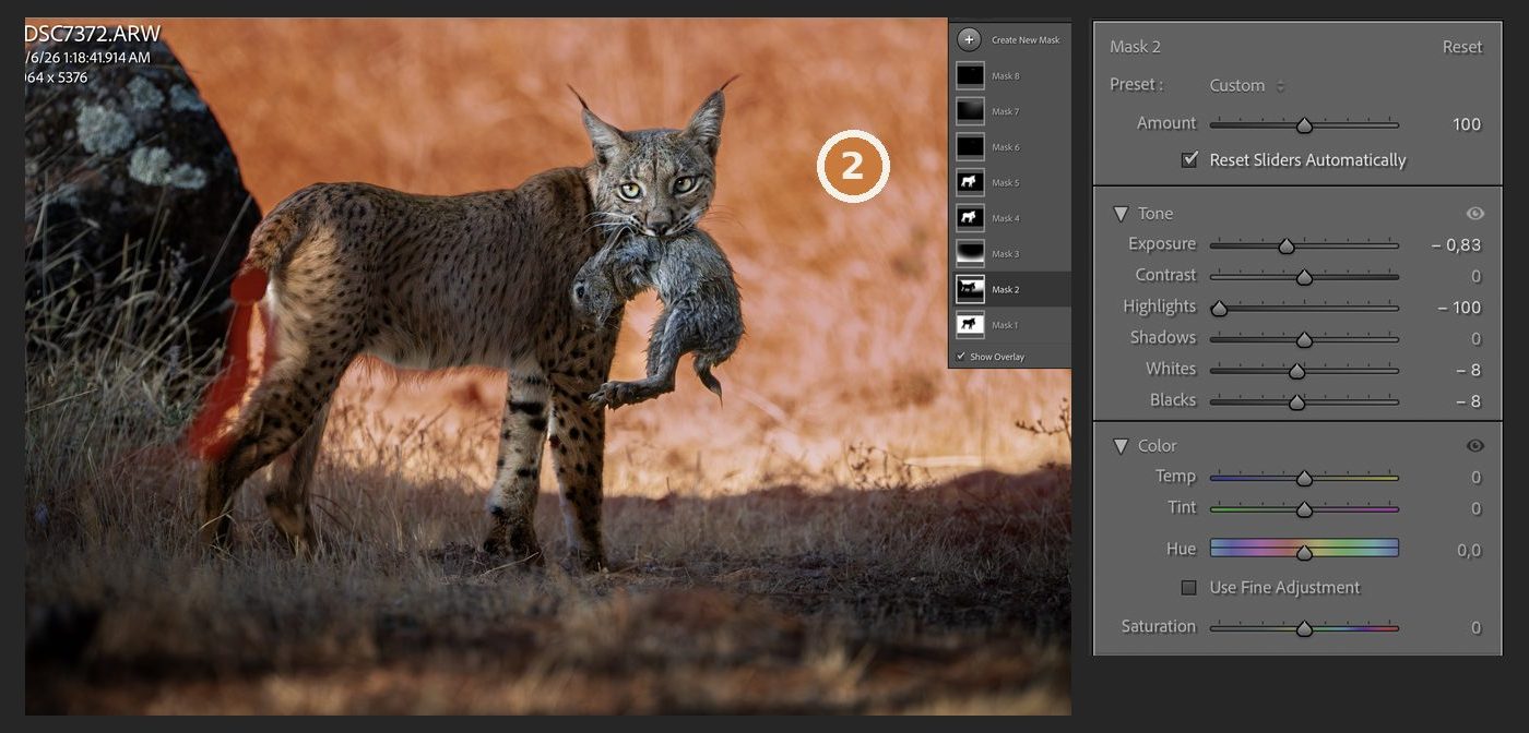 Lightroom with the second background mask shown in red and its slider values