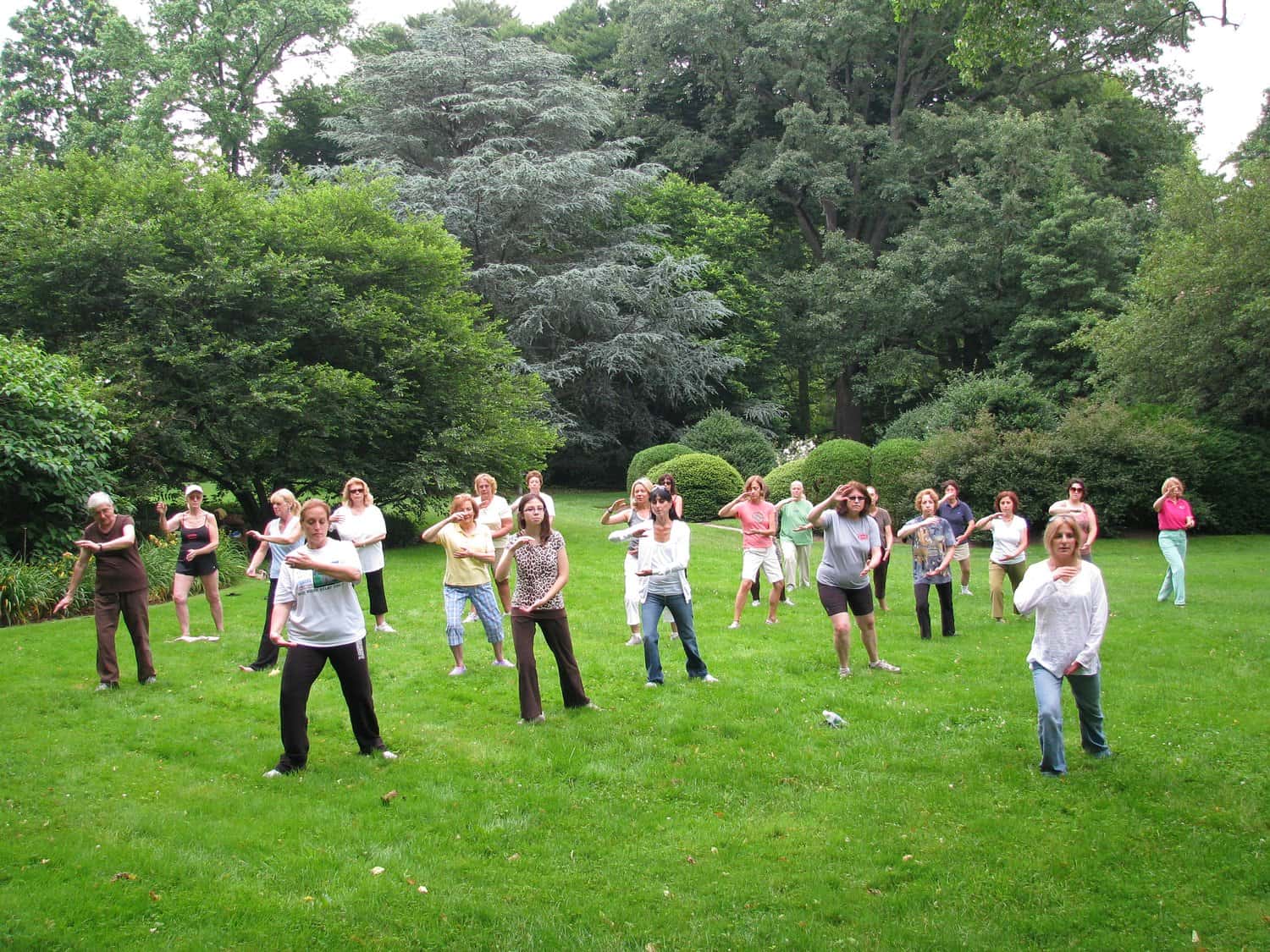 Tai Chi in the Gardens: event artwork or organizer photo