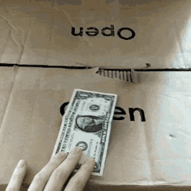 A cat pulling a dollar bill into a cardboard box