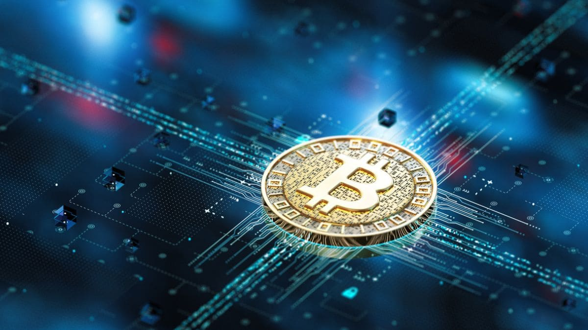 Intus Cripto News - 07/07/2025