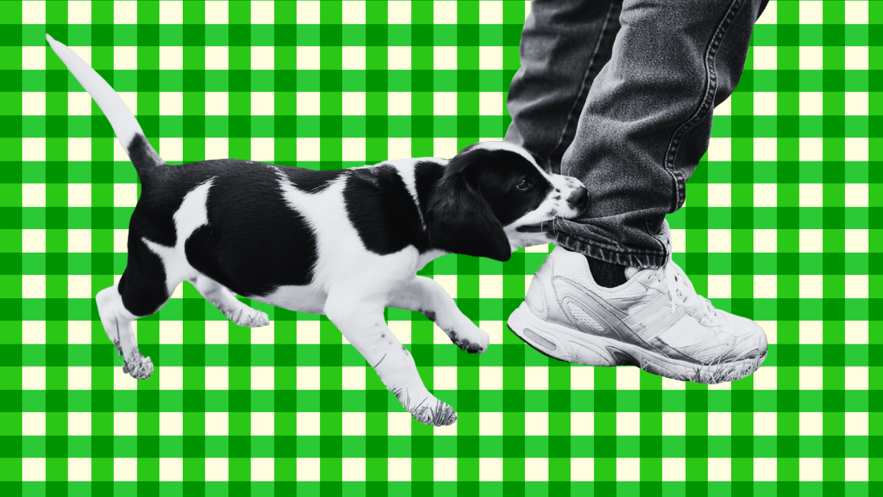 Criteo Built the Retail Media Playbook. Now Rivals Are Using It Against Them