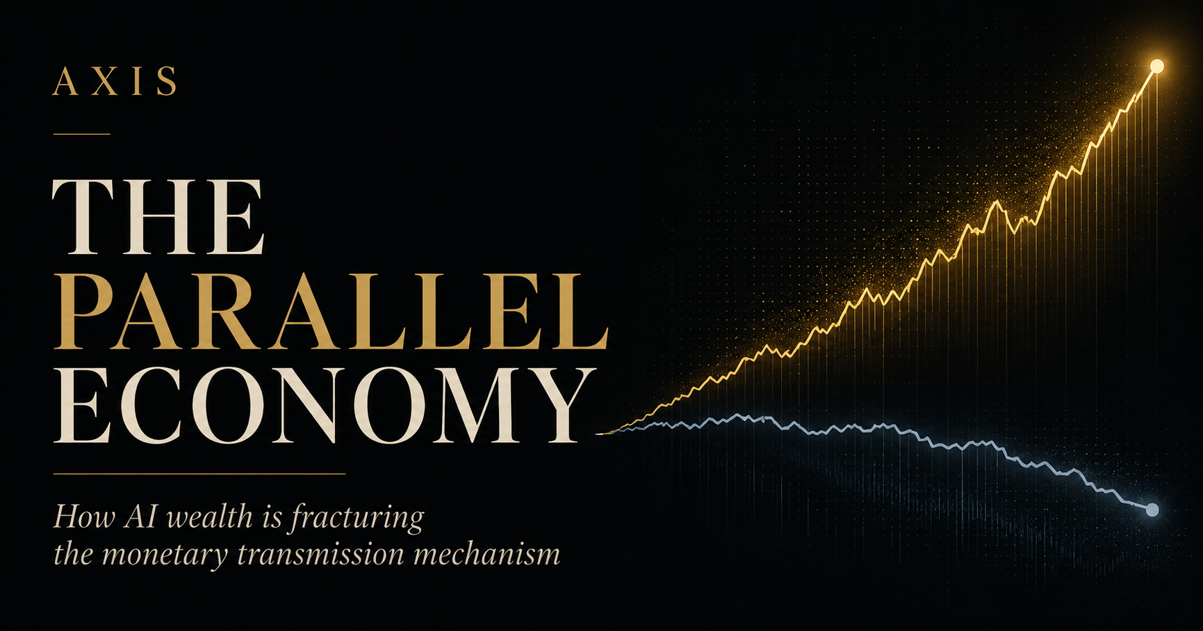 The Parallel Economy 