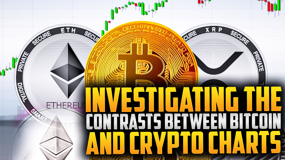 ⚡Bitcoin vs. Crypto Charts: A Contrast Investigation