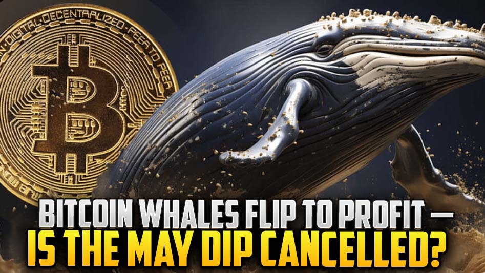 Bitcoin Whales Flip to Profit — Is the May Dip Cancelled?