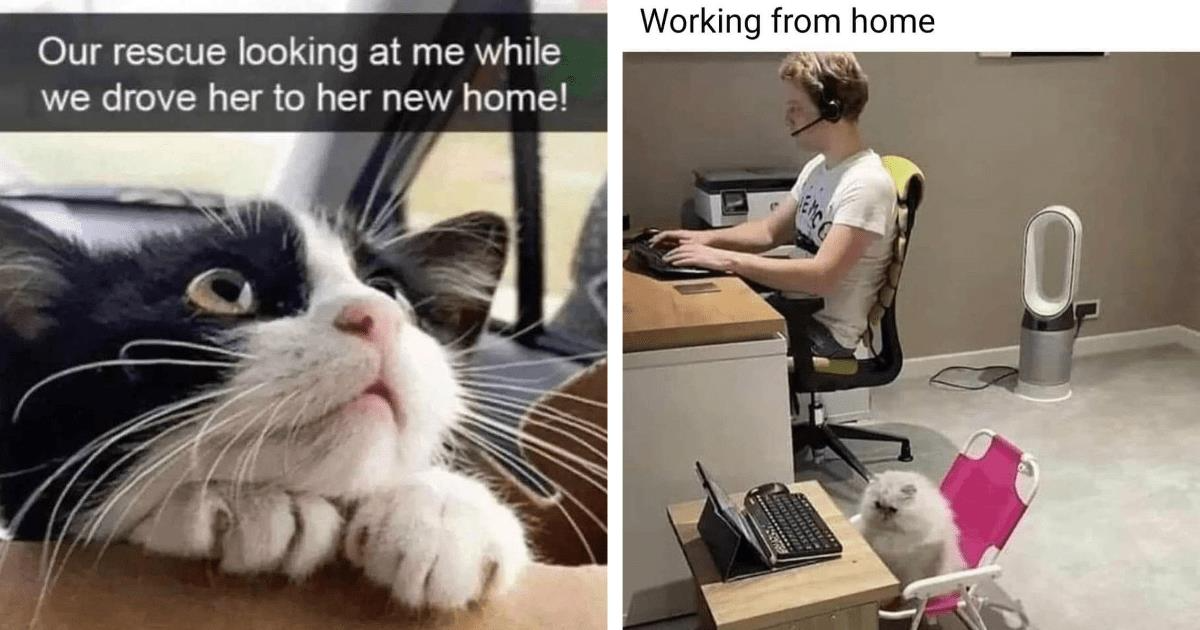 Watchfilmy: This Heartwarming Story Will Touch Your Soul - no0d8qu