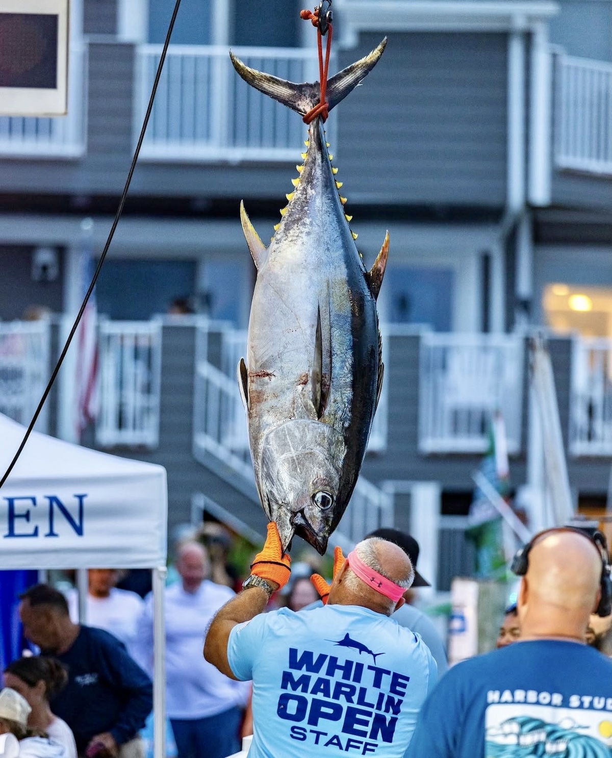 Things To Do in Ocean City, MD | August 9 - August 15, 2026                     