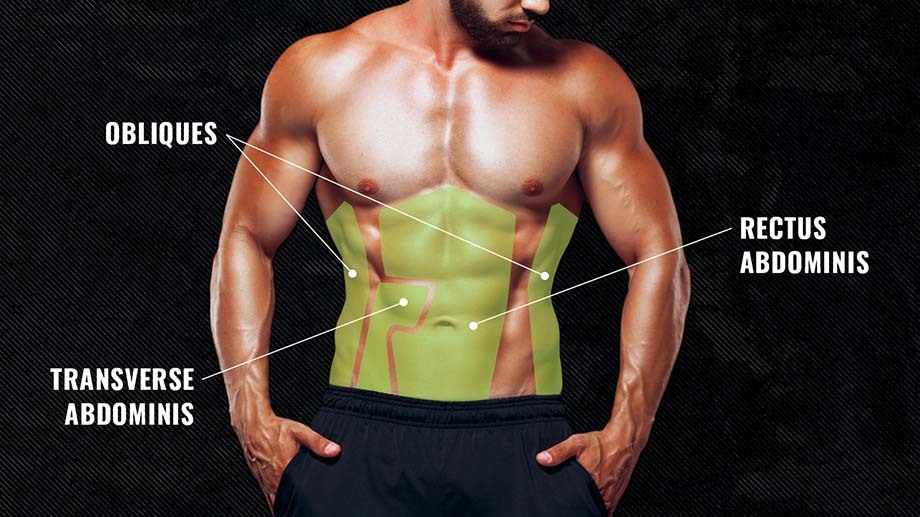 💪 9 Best Supps for Muscle Growth, Tested by Experts