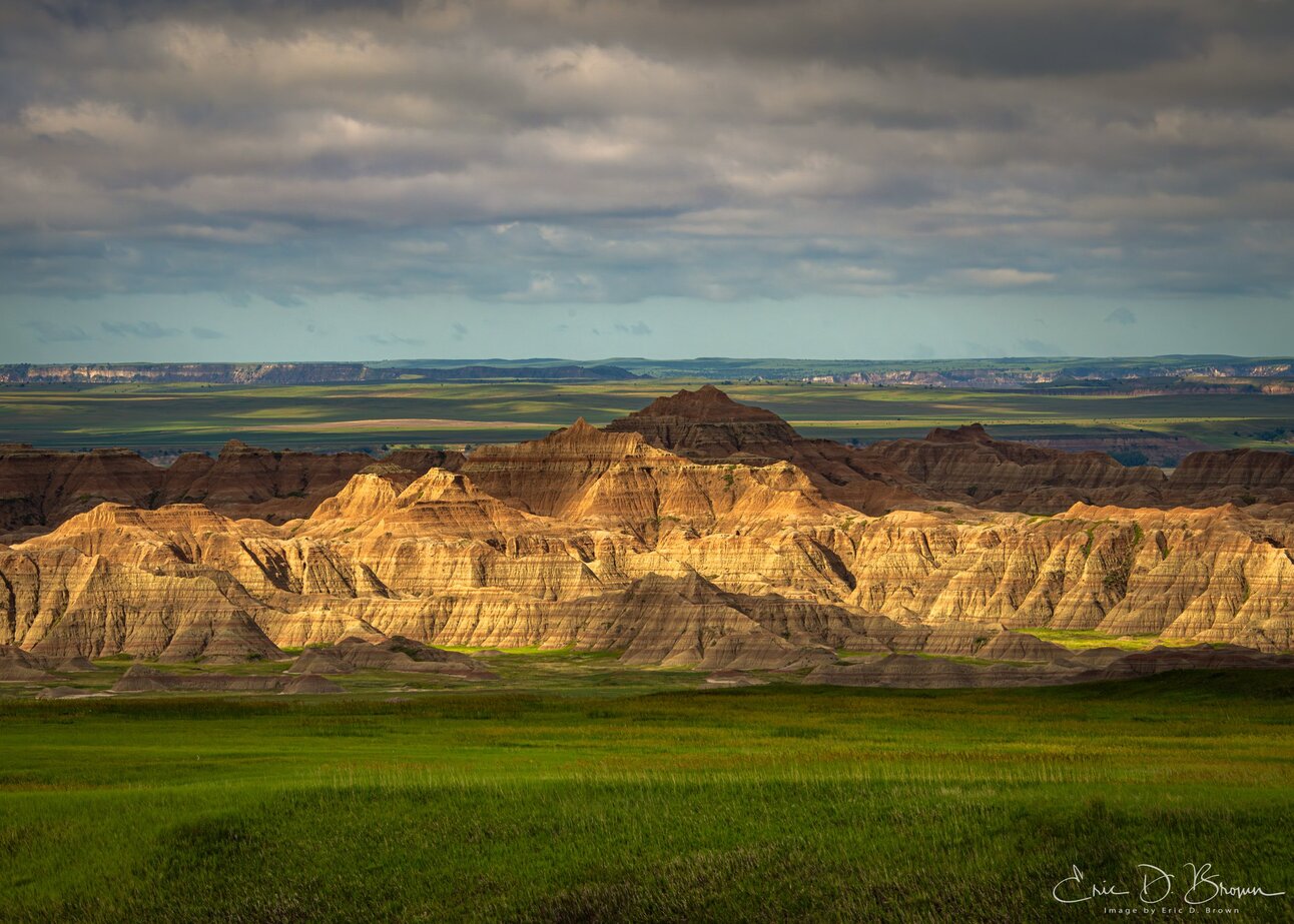 AI's Knowledge - Wisdom Gap