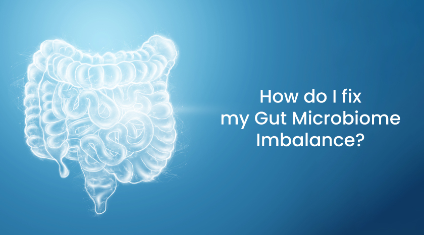 The Gut–Brain Loop That Keeps You Sick