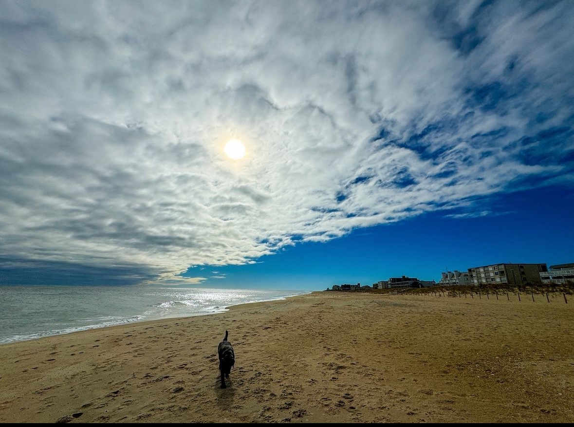 Where to Be in OCMD ~ December 15 - December 21, 2024    