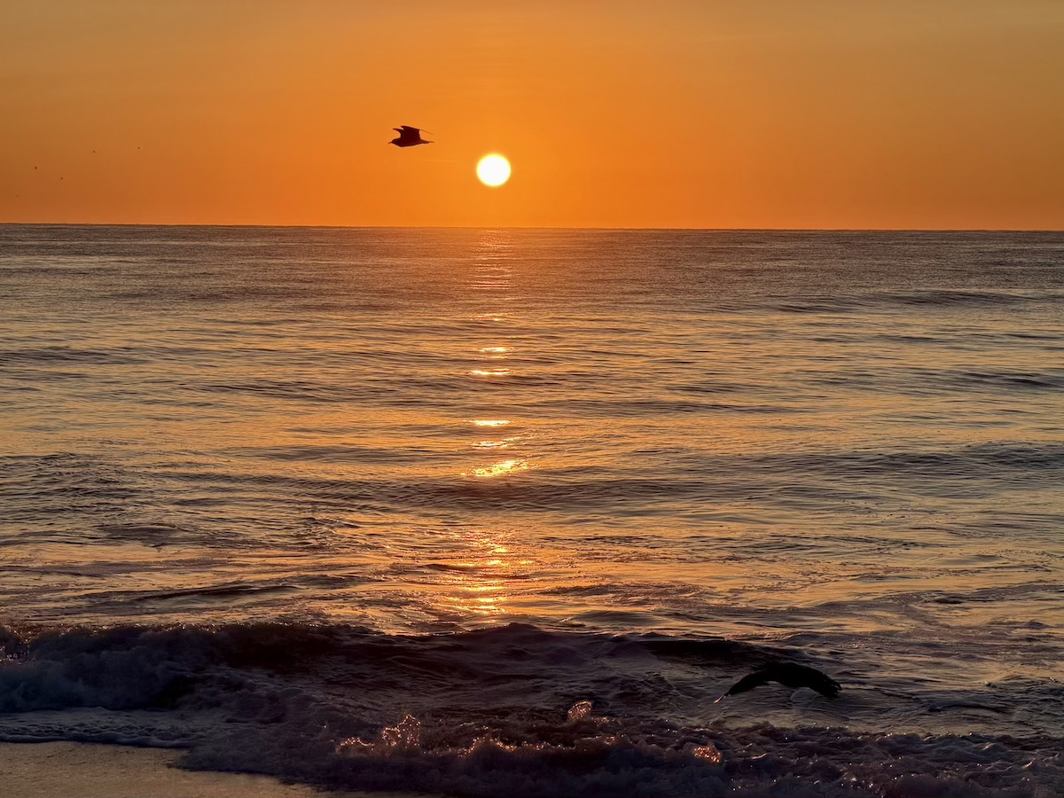 Ocean City, MD Happy Hours & Weekly Guide | September 20 - September 26, 2026                        