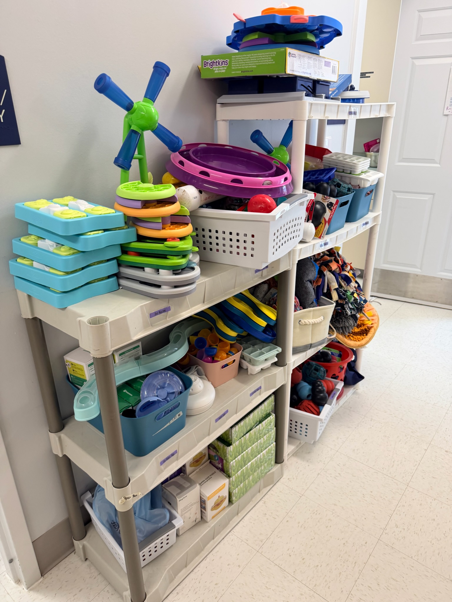 INSERT_ALT_TEXT_HERE