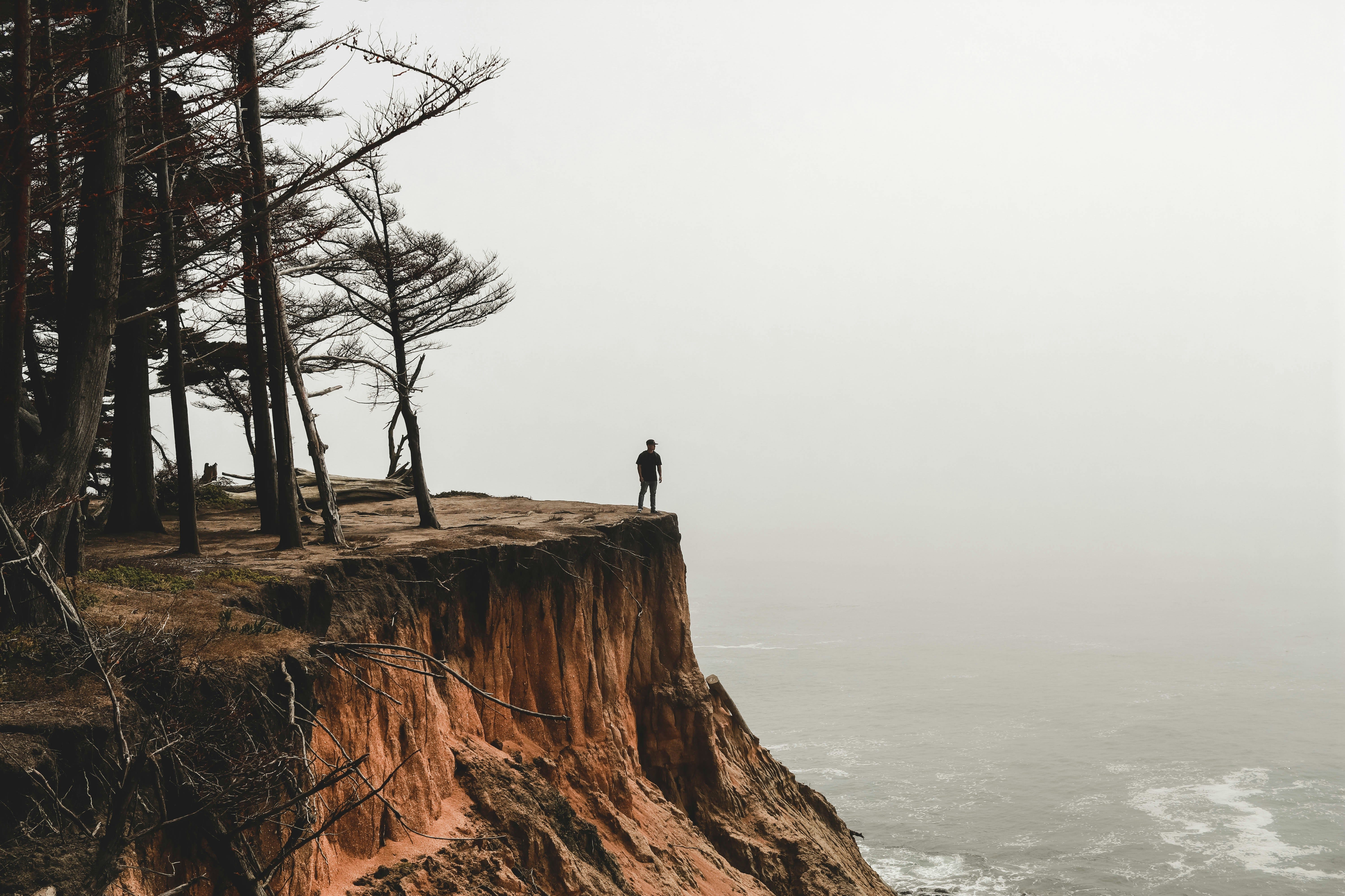 The Stoic Leader's Edge in Judgment