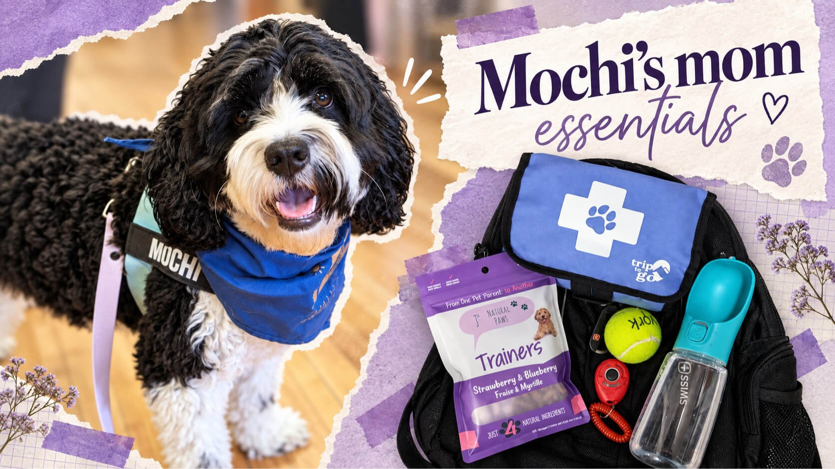 Mochi and the bag of essentials his mom carries for their outings