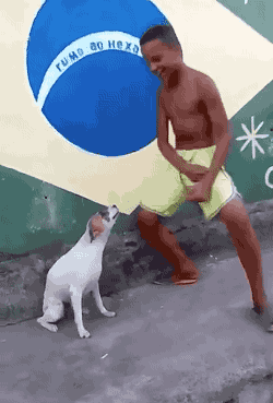 GoGet TRENDY | Ensaios das Escolas de Samba 
