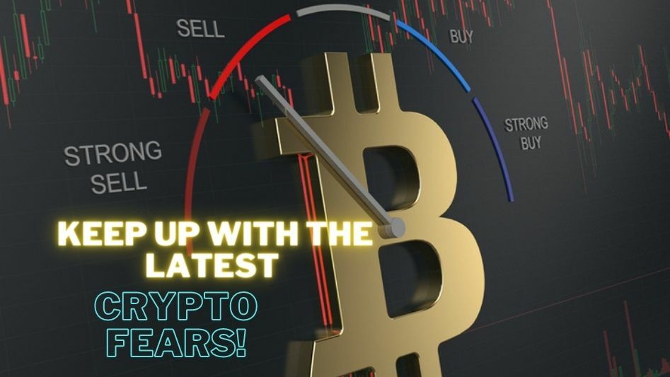 What Is a Crypto Fear and Greed Index?