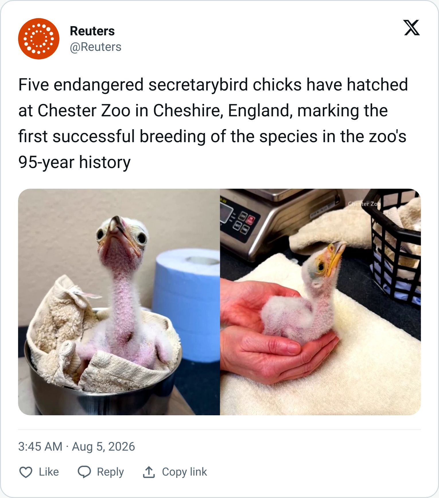 Tweet screenshot