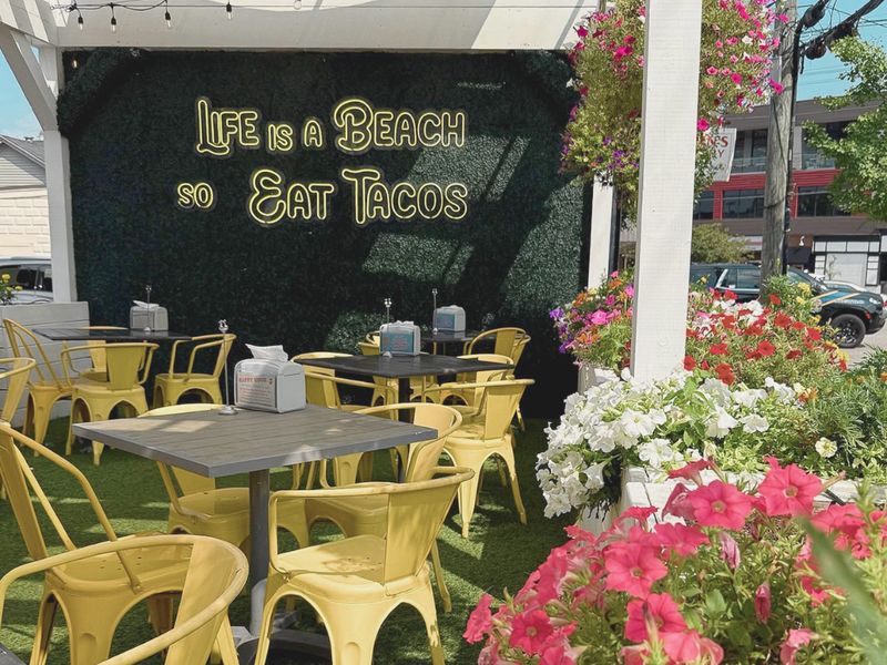 Turf patio with yellow chairs and pink flowers at Taco Luchador