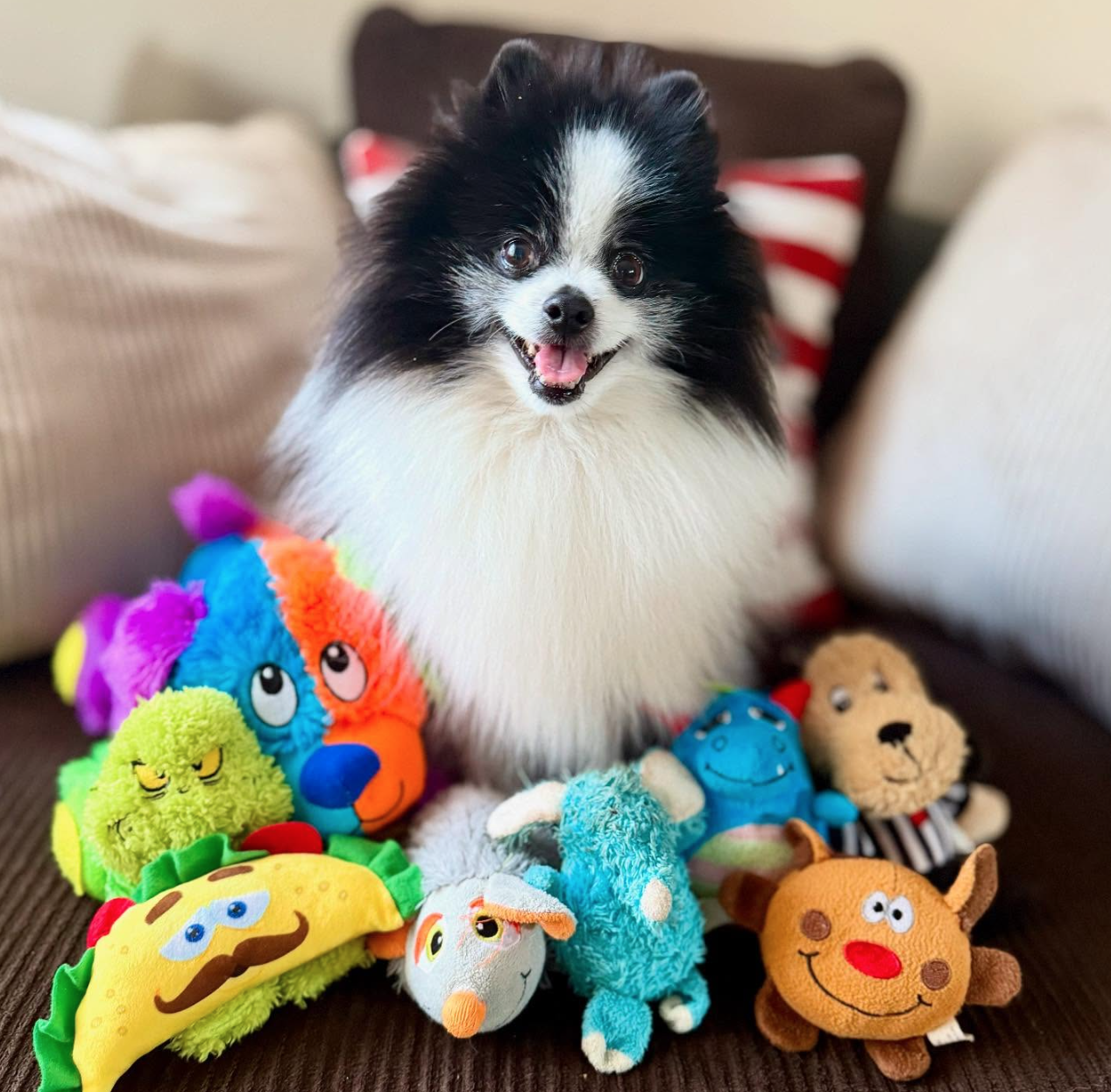 🐶 ️🐶 Prevent Dog Choking: Essential Safety Tips for Pet Owners 🐶 ️🐶