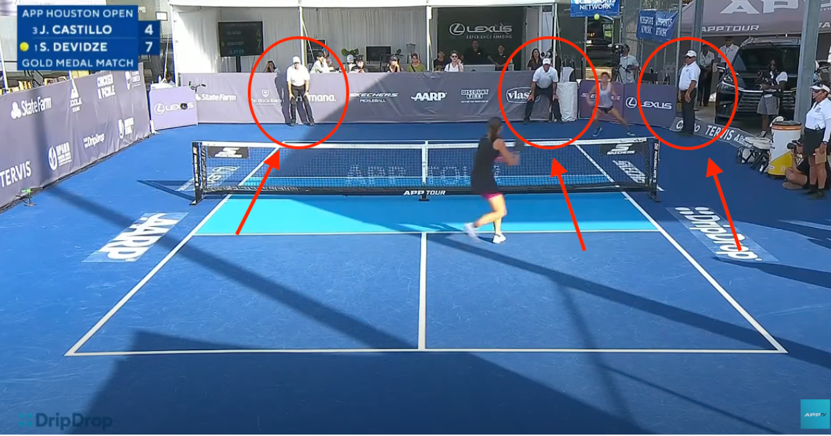 The World Pickleball Federation (WPF) and International Pickleball